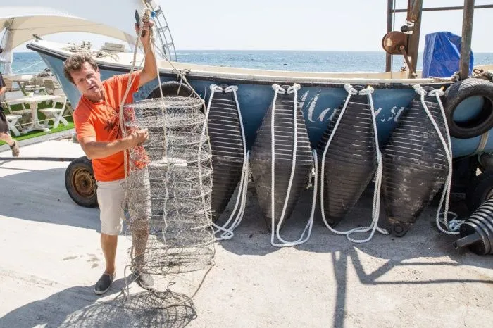 Устрицы и мидии против стихии: как аквафермы Юга восстанавливаются после «шторма века»