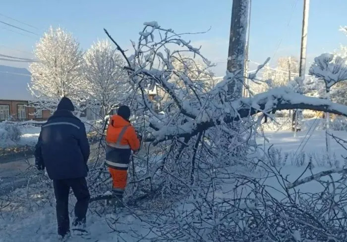 В Ростове-на-Дону из-за снегопада за сутки упали 205 деревьев и четыре конструкции 