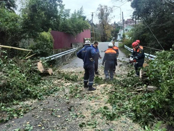 Обрушившийся на Ставрополье ураган валит деревья и срывает крыши