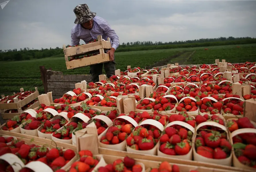 Юг будет продвигать уникальную продукцию под региональными брендами