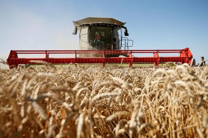 На Кубани убрали урожай зерновых с миллиона гектаров