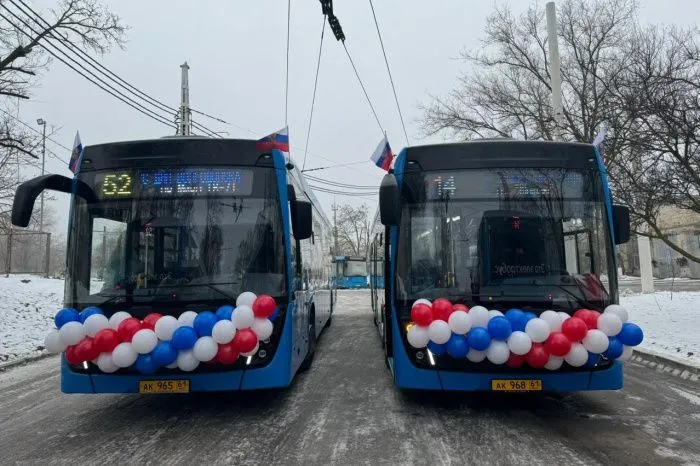 Власти Ростовской области планируют закупить ещё 100 электробусов