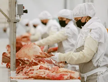 В переработку мяса на Ставрополье «Агрико» вложила около 3 млрд рублей