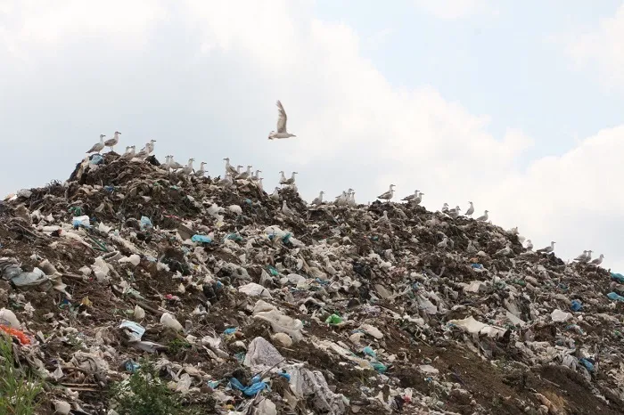 В Дагестане построят три комплекса по переработке мусора за 12,8 млрд рублей