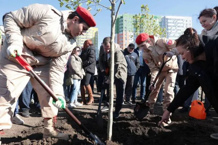 В Ростове высадили 3 тысячи деревьев и 6 тысяч кустарников 