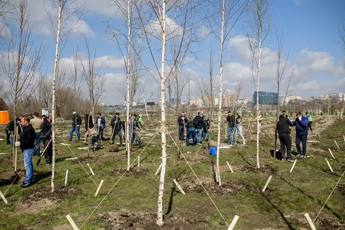 ГК «ЮСИ» в рамках компенсационного озеленения высадит 16 тыс. деревьев в Ростове