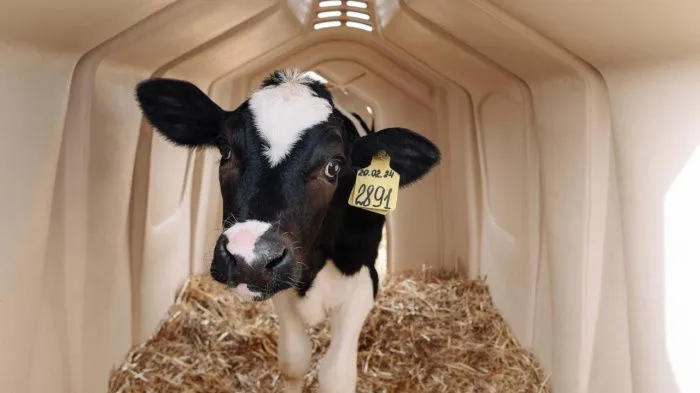 Агрохолдинг «СТЕПЬ» вошел в топ-4 крупнейших производителей молока в стране