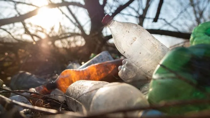 Александр Бастрыкин потребовал предоставить доклад по делу о мусорном полигоне в Краснодарском крае