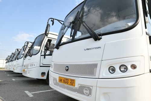 Больше 40% составляет нехватка водителей муниципального транспорта в Краснодаре